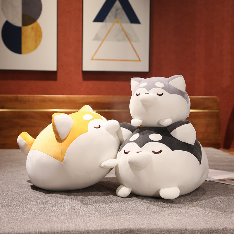 Peluche Shiba Inu Chonky pour enfants et collectionneurs